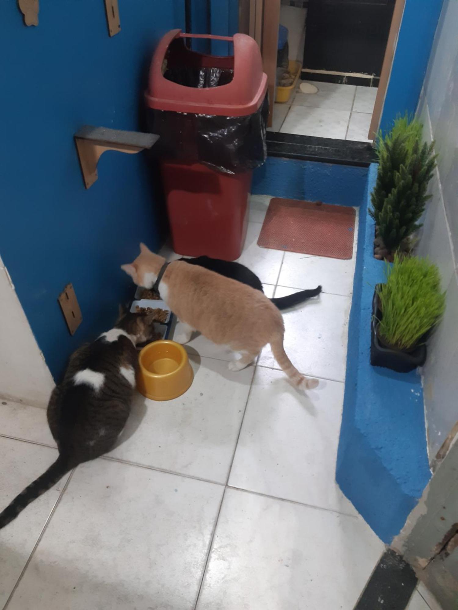 Sapucali Privative Hostel Rio de Janeiro Eksteriør billede